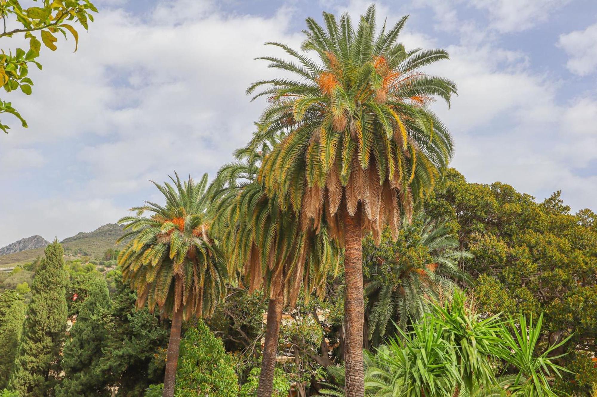 "Le Garavan Palace" Idyllique, Proche Gare Et Plage Menton Extérieur photo